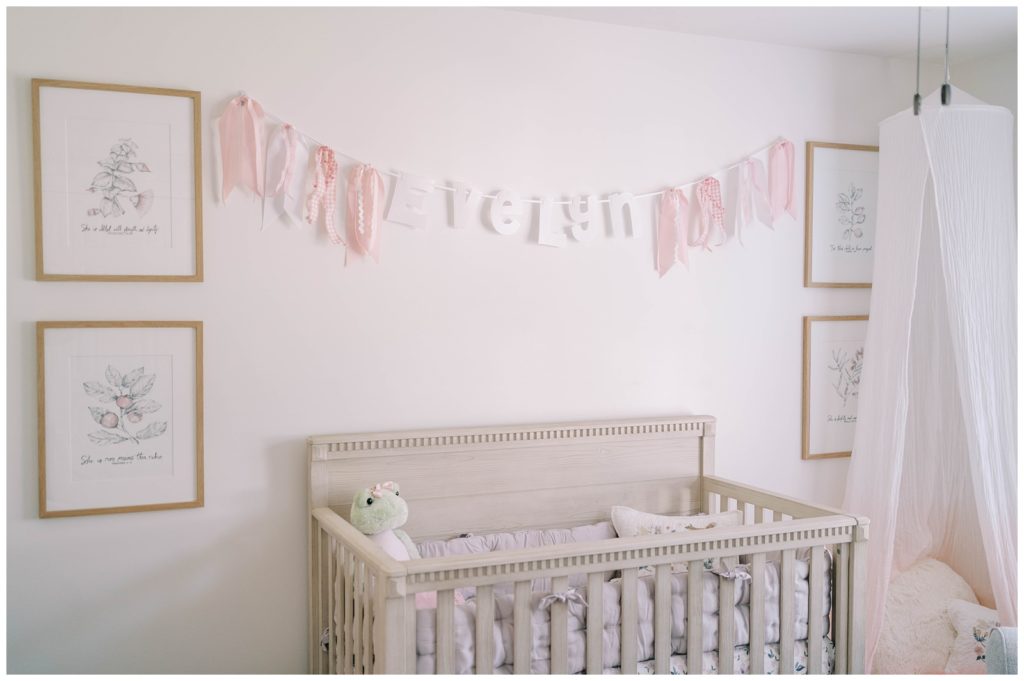A beautiful nursery is decorated for baby girl. Emily Grace Photography, Alpharetta Newborn Photographer, documented the nursery details for this family.